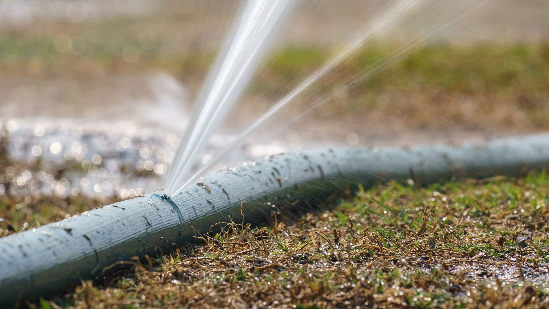 Sprinkler System Repair