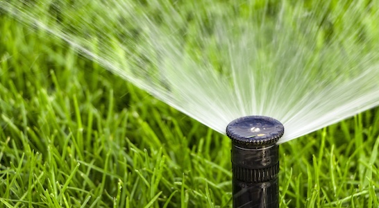 How Do You Know When Your Sprinkler System Needs Repair?