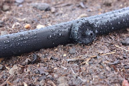Is Drip Irrigation the Best Choice for Healthier Landscaping?