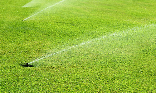 Why Professional Irrigation Installation Makes a Difference
