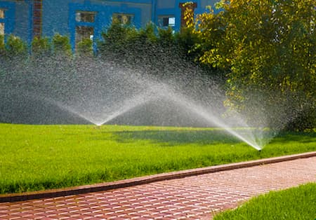 Sprinkler Installation